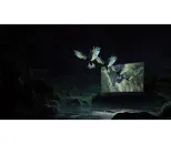 Xiaomi  TV S Mini LED 75 2025 - фото 10